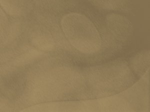 售后服务行业白皮书：数据与洞察